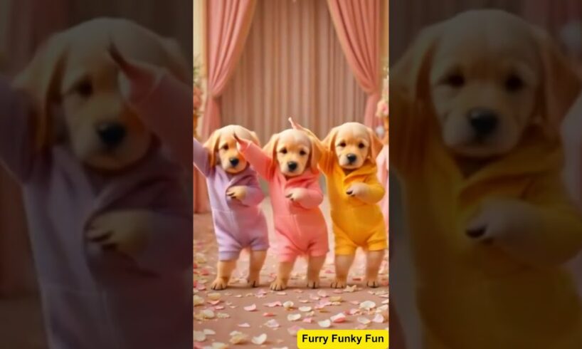 Cute Puppies Crazy Dance💃🤩| #funnyvideo #cutepuppy #cartoon #funnyanimals #viraldance #3