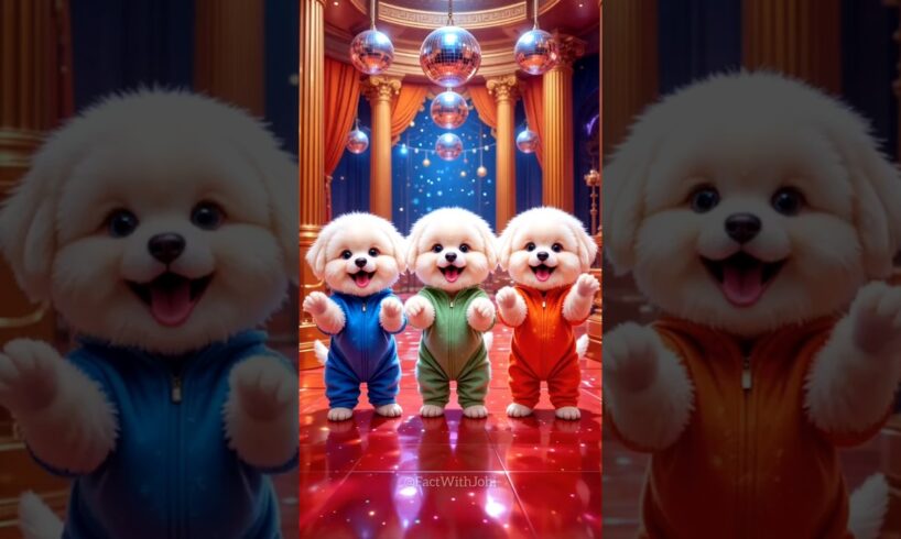 Cute Puppies Crazy Dance💃🤩| #funnyvideo #cutepuppy #dogshorts #funnyanimals #viraldance #579