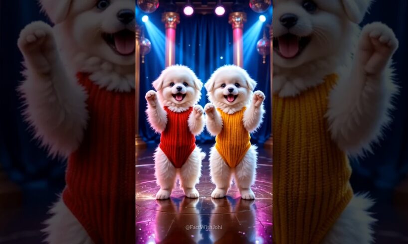 Cute Puppies Crazy Dance💃🤩| #funnyvideo #cutepuppy #dogshorts #funnyanimals #viraldance #603