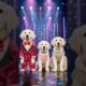 Cute Puppies Crazy Dance💃🤩| #funnyvideo #cutepuppy #dogshorts #funnyanimals #viraldance #606