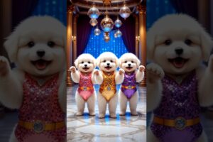 Cute Puppies Crazy Dance💃🤩| #funnyvideo #cutepuppy #dogshorts #funnyanimals #viraldance #623