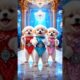 Cute Puppies Crazy Dance💃🤩| #funnyvideo #cutepuppy #dogshorts #funnyanimals #viraldance #651