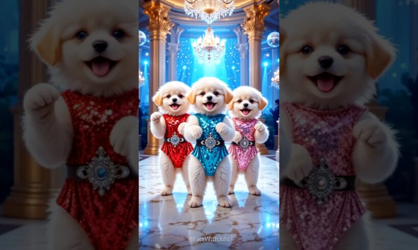 Cute Puppies Crazy Dance💃🤩| #funnyvideo #cutepuppy #dogshorts #funnyanimals #viraldance #651