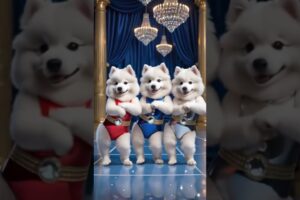 Cute Puppies Dance #funnyvideo #ytshorts #funny #india