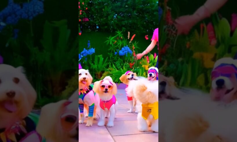 Cute Puppies and Dogs #trending #shorts #shortvideo