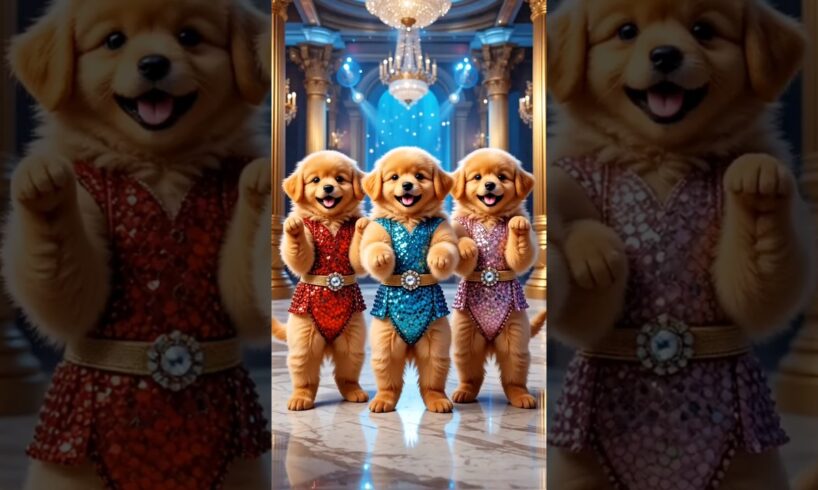 Cute puppies Crazy Dance | #funnyvideo #cutepuppy #viralshorts #dogshorts #trending #ep24