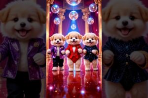 Cute puppies Crazy Dance🤩| #funnyvideo #cutepuppy #viralshorts #dogshorts #trending #ep25