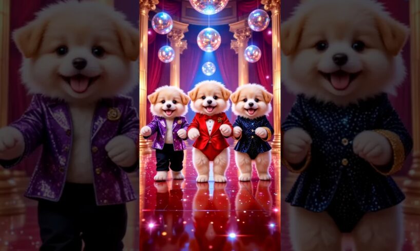 Cute puppies Crazy Dance🤩| #funnyvideo #cutepuppy #viralshorts #dogshorts #trending #ep25