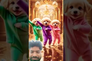 Cute puppies Crazy Dance |#funnyvideo#cutepuppy#viralshorts#dogshorts#f16