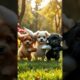 Cute puppies Dancing