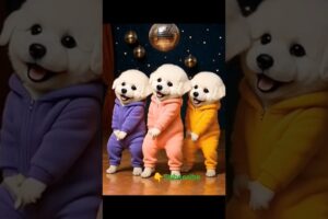 Cute puppies are dancing in disco #shorts
