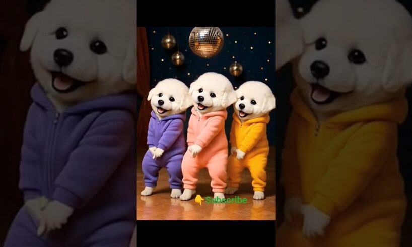 Cute puppies are dancing in disco #shorts