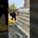 Cute puppies are enjoying & sleeping || cute puppies || cutie dog’s baby ♥️🐶🤗 #puppy #puppyvideos