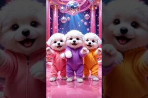 Cute puppies crazy dancing💃| #funnyanimals #cutepuppy #cartoon #funnyvideo #viraldance #517