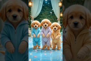 Cute puppies crazy dancing💃| #funnyanimals #cutepuppy #funnyvideo #dogshorts #viraldance #511