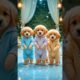 Cute puppies crazy dancing💃| #funnyanimals #cutepuppy #funnyvideo #dogshorts #viraldance #511