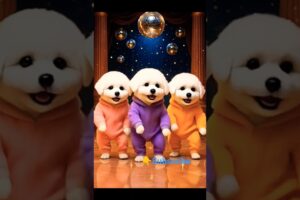 Cute puppies dance #shorts