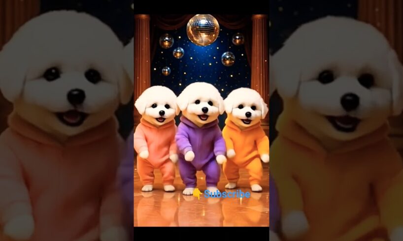 Cute puppies dance #shorts