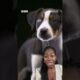 Cute puppies finding forever homes is always a win | Newsround