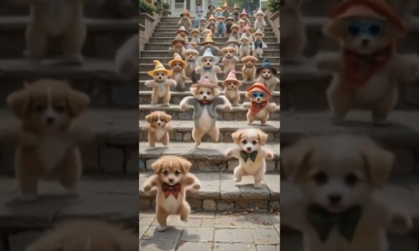 Cute puppies moves #puppy  #dog #kitten #dance #shorts #shortsviral #shortsfeed #ai #baby #kids