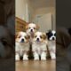 Cutest Puppies Ever Waiting for Their Milk! 🍼🐶 Too Adorable!