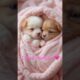 Cutest Puppies In Pink!🩷🐶 #kittenshorts puppy #puppies #puppyshorts