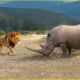 DEADLIEST Lion Attacks on Earth Ever Recorded | Animal Fights