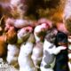 Dachshund Rescued From Puppy Mill Just In Time To Have Her Babies | The Dodo