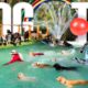 Dog Daycare TV: Entertainment for Dogs 🐶 Videos For Dogs to Watch to Prevent Boredom & Anti Anxiety