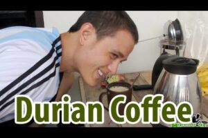 Durian Coffee - Glory or Gag?
