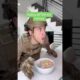 Eating Before And After The Military. #shorts