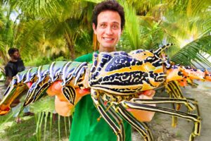 Eating Giant Rock Lobster!! Why This REMOTE ISLAND is Food Paradise!!