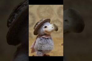 El Dodo #dodo  #eldodoextinto #animalesextintos