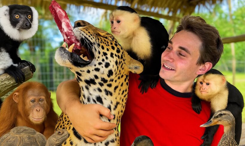 FEEDING MY EXOTIC ANIMALS !