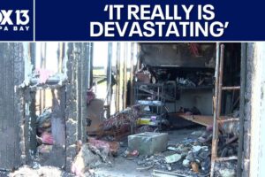 Fire at Florida animal rescue kills a dozen cats