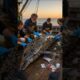 Fishermen save the poor dolphin fish from barnacles #dolphinfish #barnacles #shorts