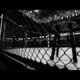 Front Street Fights 31 preview: Titles on the line live on KTVB+