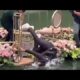 Funniest Fails of the week | Naigreyaw Version | Try Not to Laugh 😂 PART 104 #Fails #Funny