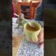Funniest Parrot Moments That Will Make You Laugh Out Loud!  #birds