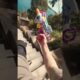 Funny Videos Gone WRONG 😂😁 Best Fails of the Week! Part -1 #shorts #shortsfeed