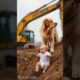 Golden Retriever Heroically Rescues Baby Dangling from Crane
