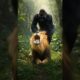 Gorilla vs Lion - The Most INSANE Animal Fight Ever Caught on Camera