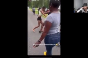 HOOD GIRL STREET FIGHT COMPILATION