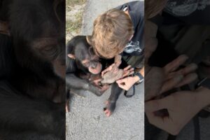 Helping My Friend With A Foot Splinter
