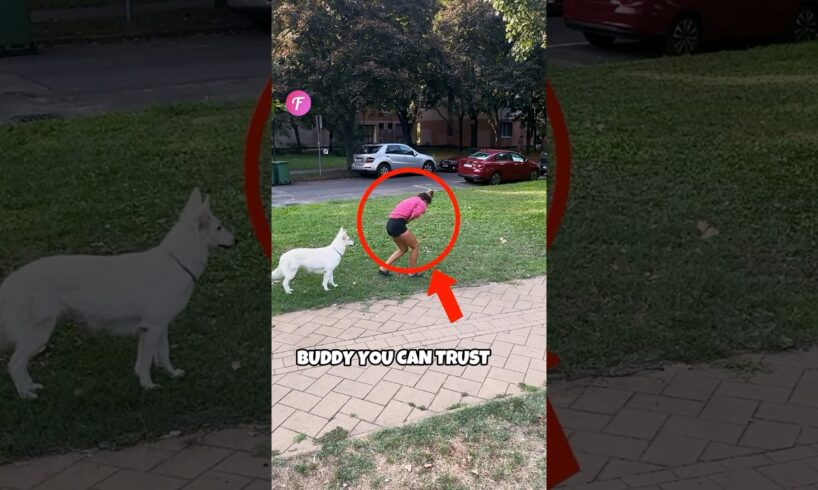 Hero Dog Saves Owner by Alerting People When She Fainted! #shorts