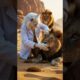 Heroic Cat Saves Wounded Lion in a Stunning Wildlife Rescue #story #funny #cat #animals