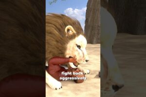 How To Survive A Lion Attack? 😱
