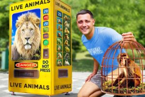 I Found a LIVE Animal Vending Machine…