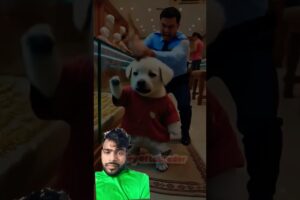 I Rescued the Poor Dog Baby in Distress