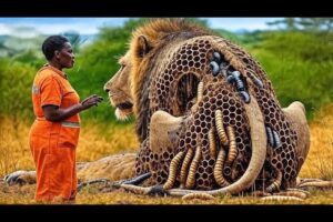 INCREDIBLE Rescue: Lion SAVED from Angry Bee Swarm! | Animal Rescue @anujgautam25